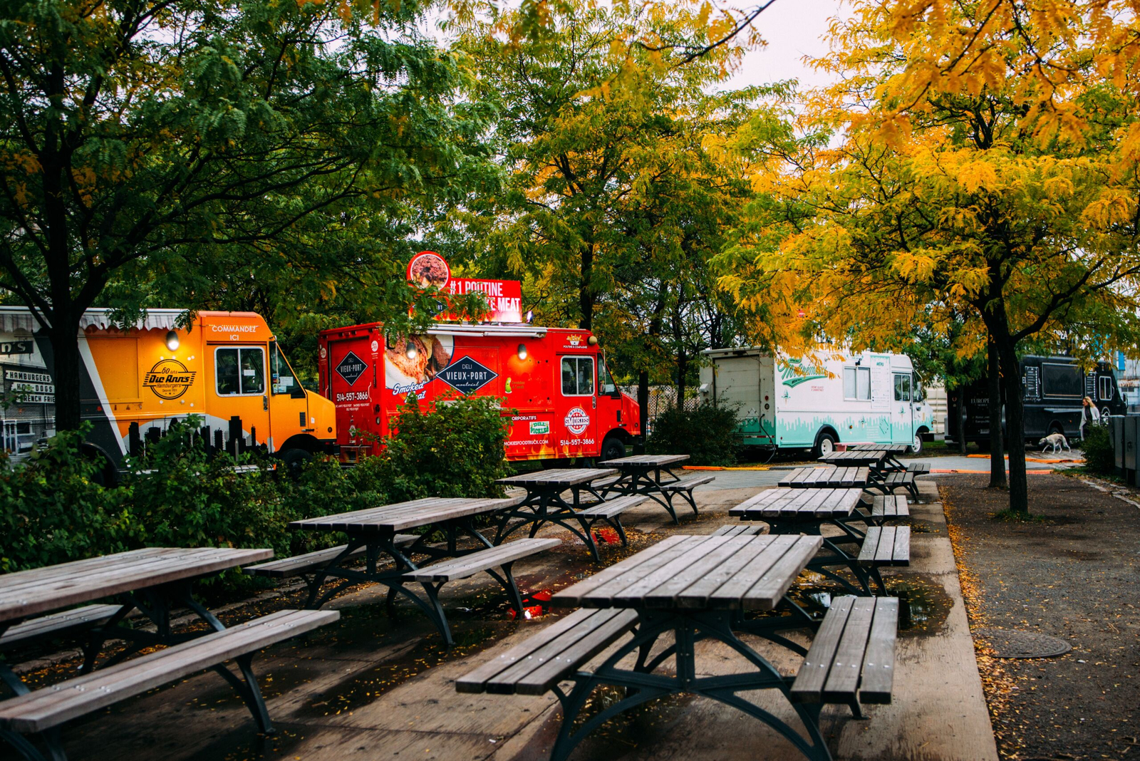 Explore the World of Food Trucks with Our Rental Options